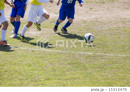 少年サッカー 15313470
