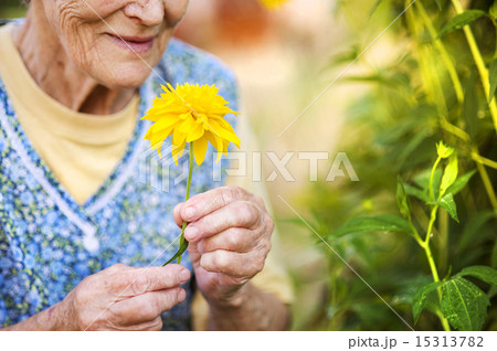 Senior woman in garden Senior woman in garden 15313782