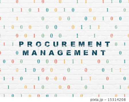 Business concept: Procurement Management on wall background 15314208
