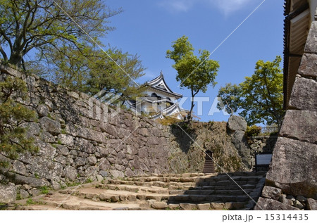 石段から望む彦根城 石段から望む彦根城 15314435