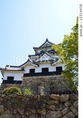 西の丸から望む彦根城（縦） 15314436