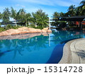 南国のプール 15314728