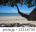 ビーチの木陰 15314730