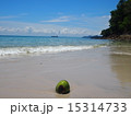 波打ち際のヤシの実 15314733