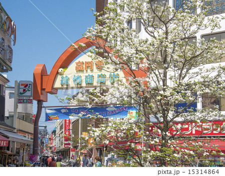 春の高円寺純情商店街（東京都杉並区） 15314864