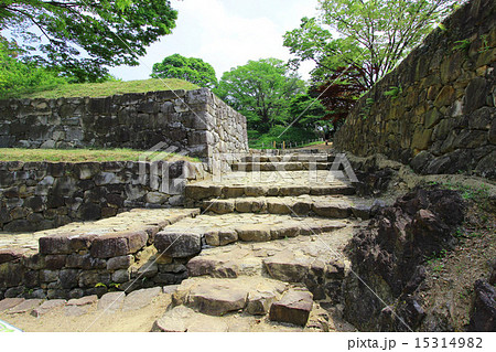 金山城跡 15314982