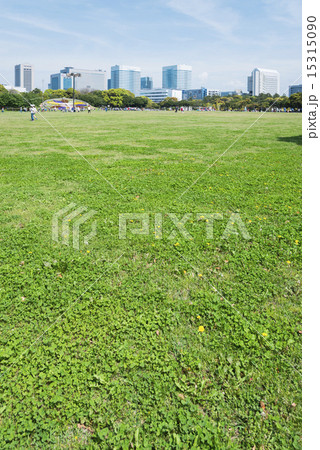 高層ビルが見える広い公園 15315090