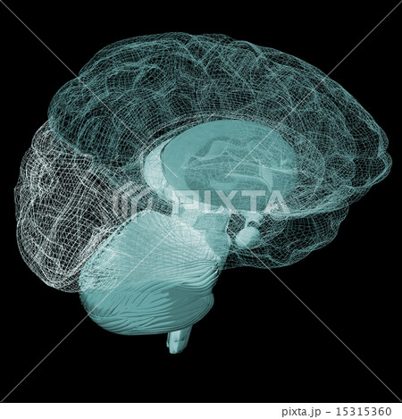 Creative concept of the human brain 15315360