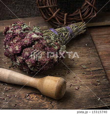 medicinal herb 15315740
