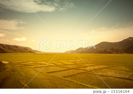 Beautiful Asian landscape Beautiful Asian landscape 15316104