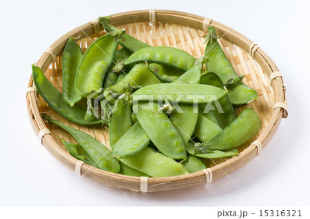 サヤエンドウ 15316321