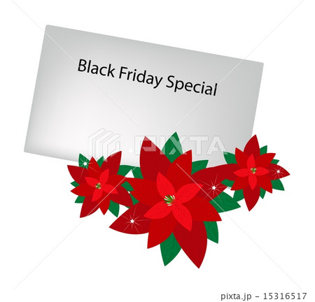 Lovely Red Poinsettia Flowers with Black 15316517