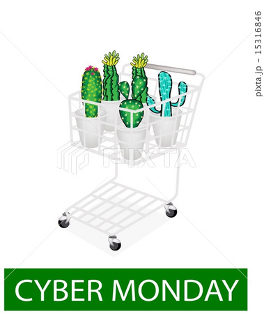 Cactus and Cactus Flowers in Cyber Monday 15316846