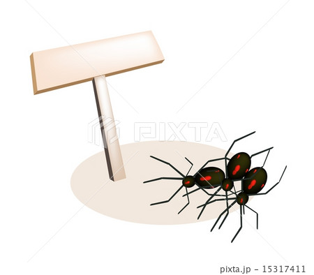 Illustration of Evil Spiders and Wooden Placard 15317411