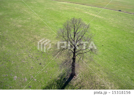 Field and Meadows Field and Meadows 15318156