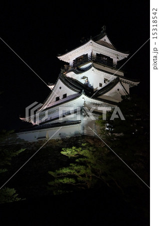 高知城・秋の夜のお城まつり 15318542