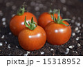 トマト 15318952