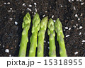 アスパラガス 15318955