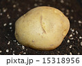 じゃがいも 15318956