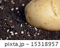 じゃがいも 15318957