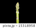 アスパラガス 15318958