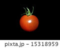 トマト 15318959