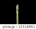 アスパラガス 15318961