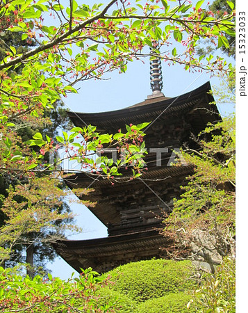 国宝大宝寺三重塔 国宝大宝寺三重塔 15323033