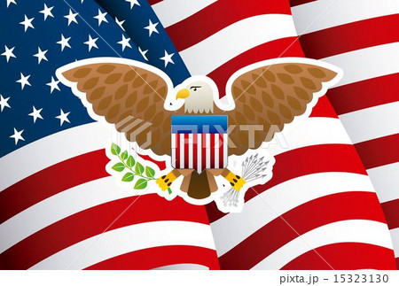 USA design over flag background vector illustration USA design over flag background vector illustration 15323130