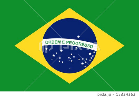Brazil design over green background vector illustration 15324362