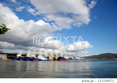 石巻魚市場 15326971