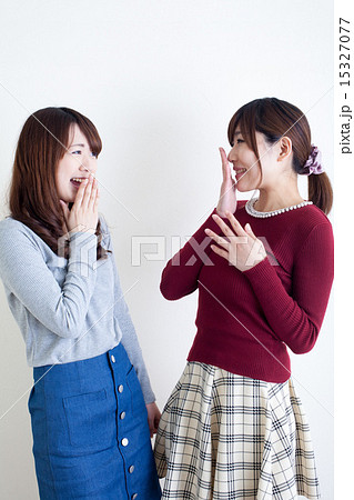 おしゃべりをする女性 15327077