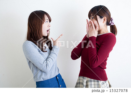 おしゃべりをする女性 15327078