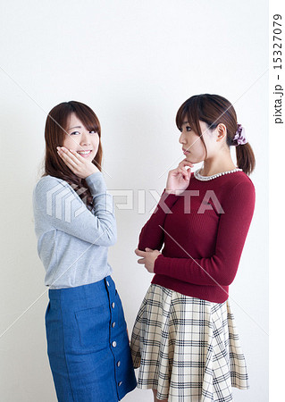 おしゃべりをする女性 おしゃべりをする女性 15327079