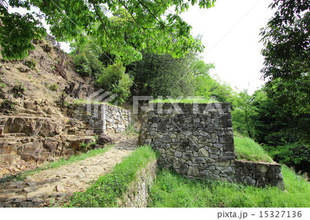 金山城跡 金山城跡 15327136