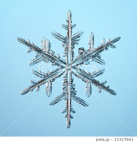 snowflake crystal natural snowflake crystal natural 15327661