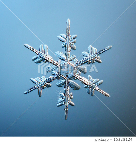 macro snowflake ice crystals present natural 15328124