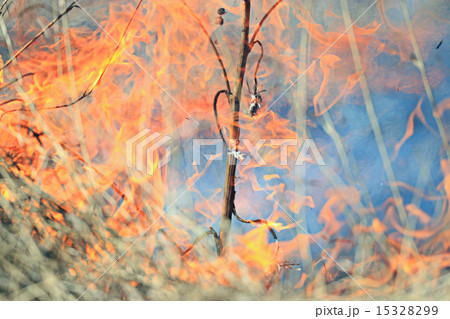 fire burning dry grass 15328299