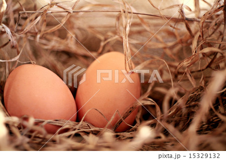 chicken eggs on the farm 15329132