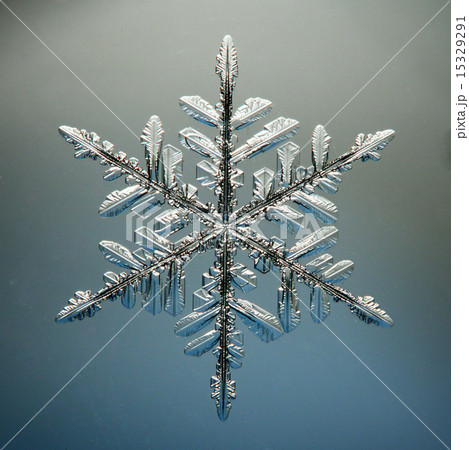 macro snowflake ice crystals present natural macro snowflake ice crystals present natural 15329291