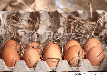chicken eggs on the farm chicken eggs on the farm 15329348