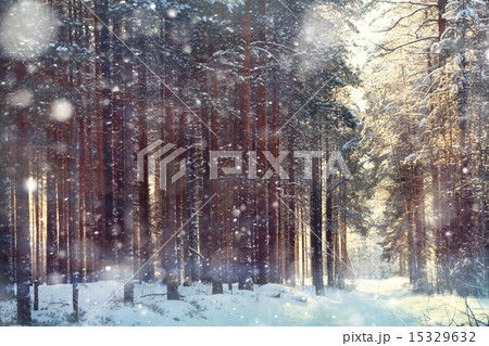 magical winter forest, a fairy tale, mystery 15329632