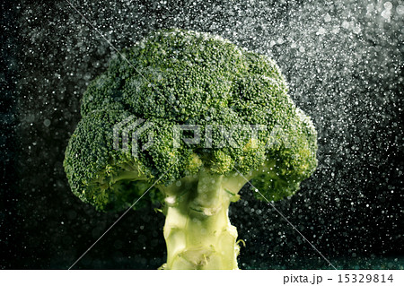 broccoli on black background 15329814