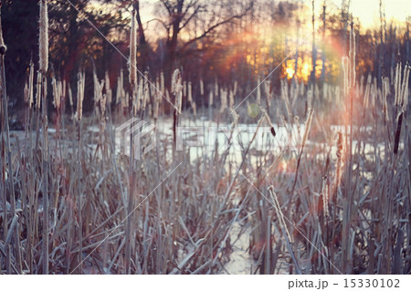 winter sunset on the marsh winter sunset on the marsh 15330102
