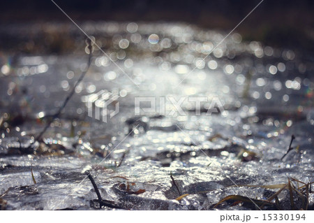 branches without leaves spring reflections river 15330194