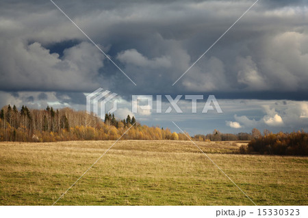 landscape forest nature landscape forest nature 15330323