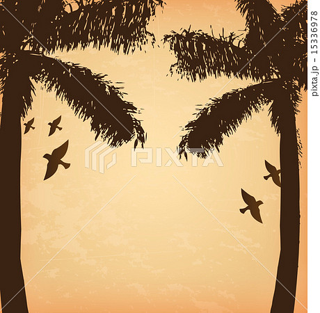 palm tree illustration over cream background vector illustration 15336978
