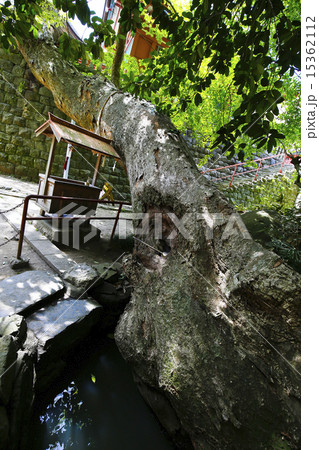 塩竃神社 塩竈市 塩竃神社 塩竈市 15362112