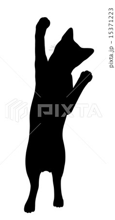 Cat Illustration Silhouette 15371223