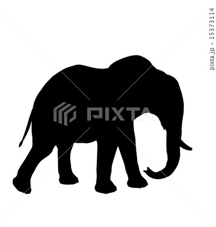 Elephant Illustration Silhouette 15373114